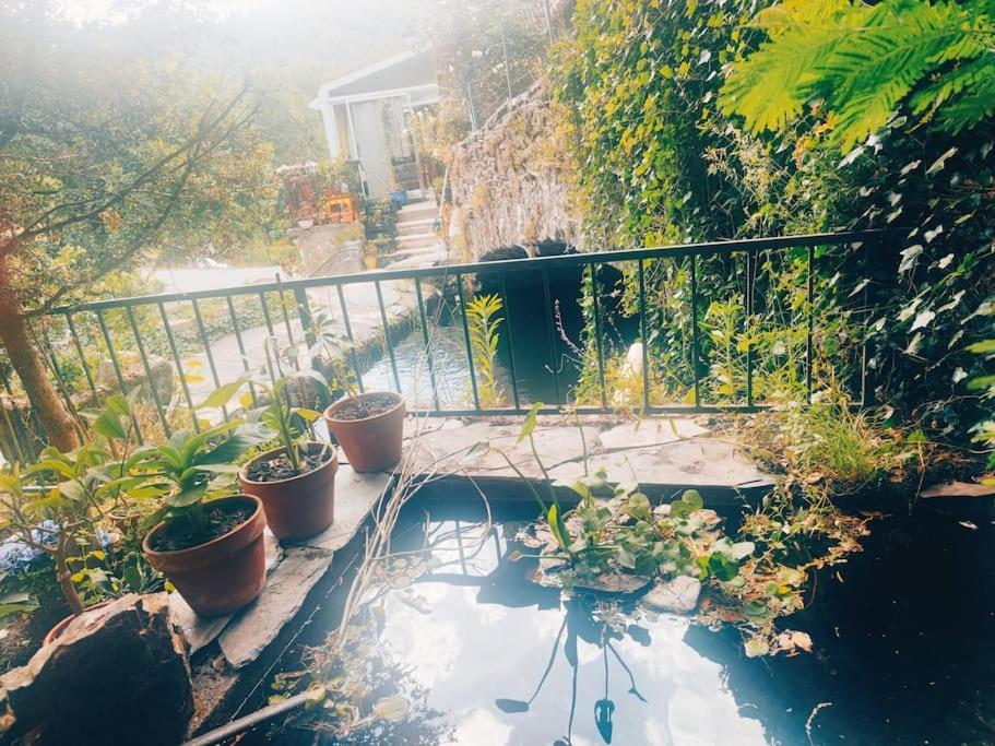 Gite Et Jardin En Bord De Riviere Saumane Exterior photo